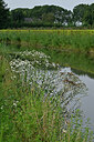 BUITEN BEELD Foto: 442455