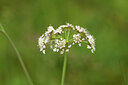 BUITEN BEELD Foto: 442459