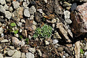 BUITEN BEELD Foto: 442460