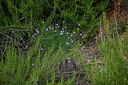 BUITEN BEELD Foto: 442464