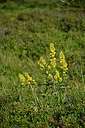 BUITEN BEELD Foto: 442465