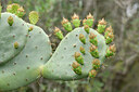 BUITEN BEELD Foto: 442468