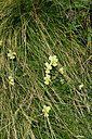 BUITEN BEELD Foto: 442469