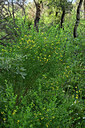 BUITEN BEELD Foto: 442472