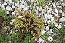 BUITEN BEELD Foto: 442473