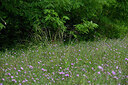 BUITEN BEELD Foto: 442474