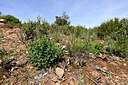BUITEN BEELD Foto: 442480