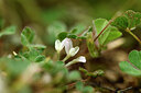 BUITEN BEELD Foto: 442483