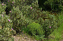 BUITEN BEELD Foto: 442487
