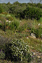 BUITEN BEELD Foto: 442493