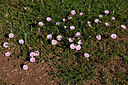 BUITEN BEELD Foto: 442494