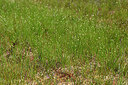 BUITEN BEELD Foto: 442496