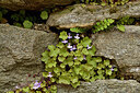 BUITEN BEELD Foto: 442497