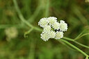 BUITEN BEELD Foto: 442498