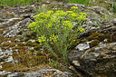BUITEN BEELD Foto: 442499