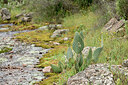 BUITEN BEELD Foto: 442501
