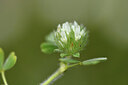 BUITEN BEELD Foto: 442506