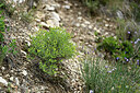 BUITEN BEELD Foto: 442507