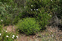 BUITEN BEELD Foto: 442508