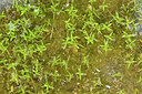 BUITEN BEELD Foto: 442509