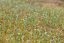 BUITEN BEELD Foto: 442511