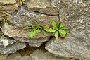 BUITEN BEELD Foto: 442514