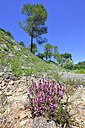 BUITEN BEELD Foto: 442517
