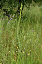 BUITEN BEELD Foto: 442518