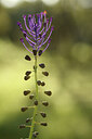 BUITEN BEELD Foto: 442519