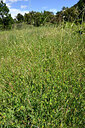 BUITEN BEELD Foto: 442522