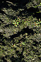 BUITEN BEELD Foto: 442524