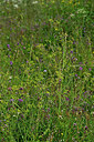 BUITEN BEELD Foto: 442525