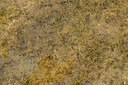 BUITEN BEELD Foto: 442526