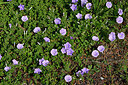 BUITEN BEELD Foto: 442529