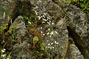 BUITEN BEELD Foto: 442530