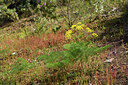 BUITEN BEELD Foto: 442531