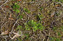BUITEN BEELD Foto: 442543
