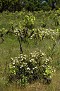 BUITEN BEELD Foto: 442547