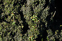 BUITEN BEELD Foto: 442548