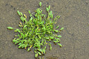 BUITEN BEELD Foto: 442551