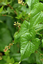 BUITEN BEELD Foto: 442553