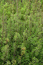 BUITEN BEELD Foto: 442554