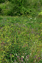 BUITEN BEELD Foto: 442555