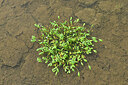 BUITEN BEELD Foto: 442557
