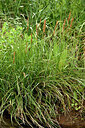 BUITEN BEELD Foto: 442566