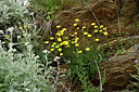 BUITEN BEELD Foto: 442567