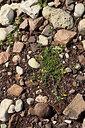 BUITEN BEELD Foto: 442570