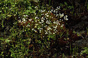 BUITEN BEELD Foto: 442573