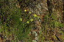 BUITEN BEELD Foto: 442574