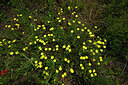 BUITEN BEELD Foto: 442580